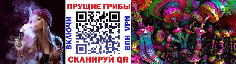 Купить закладки  Нарткала  Галлюциногенные грибы Cubensis 